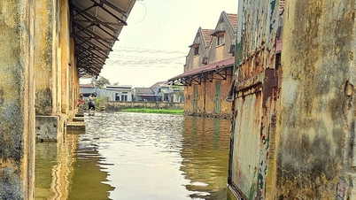 ឃ្លាំងបម្រុងជាតិនៅ Hai Phong បានរុះរើ និងឈប់ដំណើរការ។