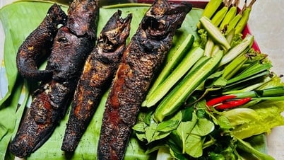 En arrivant à l'Ouest, la saison du riz vient de se terminer, nous courons à la digue pour faire griller du poisson tête de serpent.