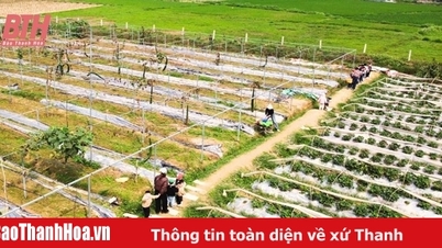 Điểm đến trải nghiệm nông trại lý tưởng cho học sinh