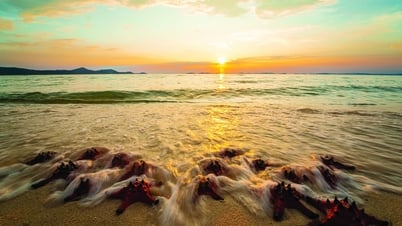 Chạm vào vẻ đẹp nguyên sơ của Phú Quốc