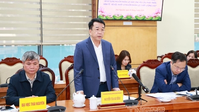 Quốc hội giám sát việc phát triển và sử dụng nguồn nhân lực tại Thái Nguyên