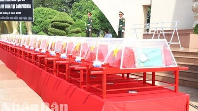 Đắk Lắk thu thập ADN phục vụ tìm kiếm hài cốt các anh hùng, liệt sĩ chưa...