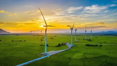 El desarrollo de las energías renovables aún enfrenta muchos desafíos