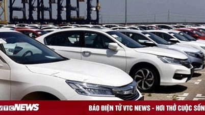 Từ hôm nay, nhiều mặt hàng được giảm thuế suất thuế nhập khẩu 