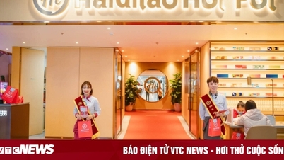 Haidilao earns more than 2,200 billion VND/year in Vietnam