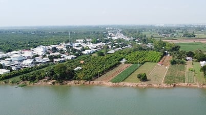 Kỳ cuối: Giải pháp nào để phòng, chống sạt lở bền vững?