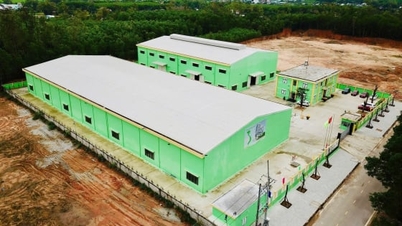 ThaiBinh Seed Central Highlands បន្តលូតលាស់នៅក្នុងផ្ទះថ្មីរបស់ខ្លួន។