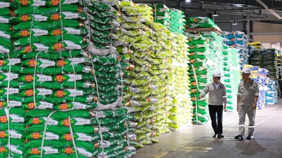 Phú Mỹ được bình chọn 'Hàng Việt Nam chất lượng cao' 22 năm liên tiếp
