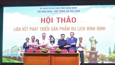 Liên kết phát triển sản phẩm du lịch Bình Định và kết nối sản phẩm du lịch đường sắt Đà Nẵng, Khánh Hòa