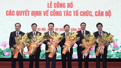 กระทรวงวิทยาศาสตร์และเทคโนโลยี จัดตั้งคณะกรรมการกำกับดูแลด้านวิทยาศาสตร์ การพัฒนาเทคโนโลยี นวัตกรรม การเปลี่ยนแปลงทางดิจิทัล และโครงการ 06