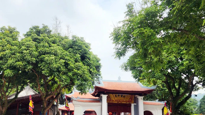 ពង្រឹងការគ្រប់គ្រង និងអភិរក្សរមណីយដ្ឋានប្រវត្តិសាស្ត្រ និងវប្បធម៌ និងតំបន់ទេសចរណ៍នានាក្នុងខេត្ត