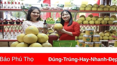 រីករាយពិធីបុណ្យប្រាសាទហុង