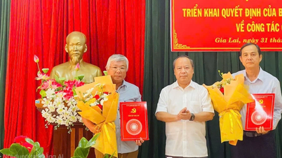 Trao quyết định nghỉ hưu trước tuổi cho Trưởng ban Nội chính Tỉnh ủy Gia Lai