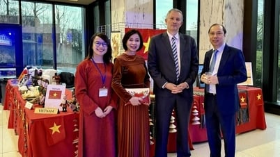 ផ្សព្វផ្សាយវប្បធម៌ និងកសិផលវៀតណាមនៅមហោស្រពវប្បធម៌ Francophonie ឆ្នាំ 2025 នៅសហរដ្ឋអាមេរិក