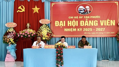 Ben Tre temporarily suspends organizing party congresses at commune and district levels