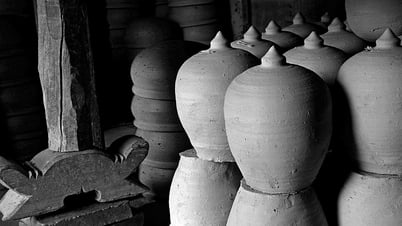 'Wandering the streets of Hoi An' with Tam Thai