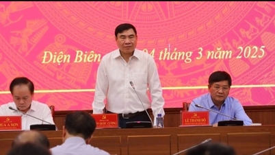 ស្នើសុំផ្ទេរឯកសារទៅគណៈកម្មាធិការកិច្ចការផ្ទៃក្នុង ប្រសិនបើគម្រោងបង្ហាញសញ្ញានៃការបំពាន។