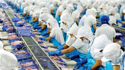 Năm 2025 xuất khẩu nông, lâm, thủy sản đặt mục tiêu 70 tỷ USD
