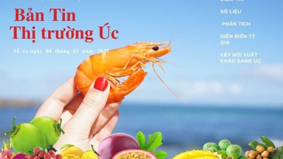 Ban tin thị trường Úc số ra ngày 04/03/2025