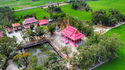 វត្តពណ៌ផ្កាឈូកភ្លឺដែលមានដើមឈើបុរាណជាជួរគឺកម្រនៅ An Giang