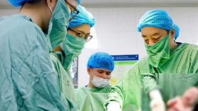Rettung des Lebens einer schwangeren Frau durch den Einsatz von Hochtechnologie bei fetalen Eingriffen