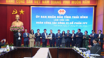 FPT ស្នើកិច្ចសហប្រតិបត្តិការក្នុងការផ្លាស់ប្តូរឌីជីថល និងការវិនិយោគលើវិស័យអប់រំនៅខេត្ត Thai Binh