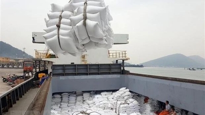 Rice exports declined in the first months of the year, Prime Minister urgently directed