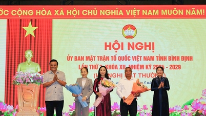 Bà Lê Bình Thanh giữ chức Chủ tịch Ủy ban Mặt trận Tổ quốc Việt Nam tỉnh Bình Định