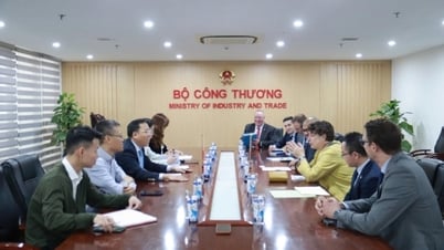 អនុរដ្ឋមន្ត្រី Nguyen Hoang Long ធ្វើការជាមួយឯកអគ្គរដ្ឋទូតអាល្លឺម៉ង់អំពីការអភិវឌ្ឍន៍ថាមពលខ្យល់
