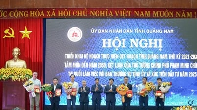 Quang Nam អនុវត្តផែនការ និងសេចក្តីសន្និដ្ឋានរបស់នាយករដ្ឋមន្ត្រី