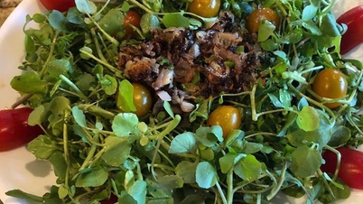 Surprisingly, the 'best vegetable in the world' is in season, sold cheaply in the market, Vietnamese people should eat it to prevent chronic diseases
