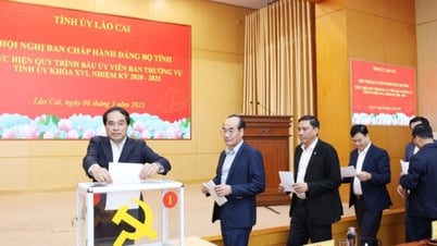 라오채, 인사업무 컨퍼런스 개최