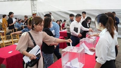 Investors are “shocked” when auctioned land in Hung Yen continuously sets new peaks