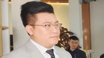 ការកាត់ទោសអគ្គនាយកក្រុមហ៊ុនភាគហ៊ុនរួម Trieu Nu Cuoi ពីបទក្លែងបន្លំទាក់ទងនឹងរូបិយប័ណ្ណ QFS TNCVN