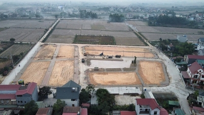 ฮังเยนเตรียมประมูลที่ดินเกือบ 400 แปลงในเดือนมีนาคม 2568 ด้วยราคาเริ่มต้นที่น่าสนใจ