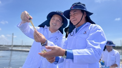 O vice-ministro Vo Van Hung visita o complexo industrial de camarão de alta tecnologia.