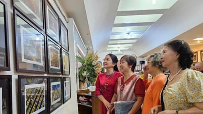ការ​គោរព​ពណ៌​នៃ​សិល្បៈ​តាម​រយៈ​កញ្ចក់​របស់​អ្នក​ថត​រូប​ស្រី
