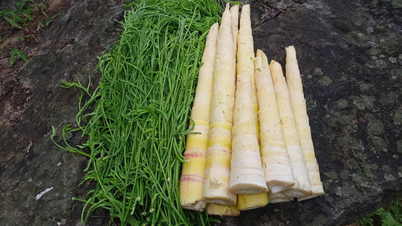 Northwest specialties are hard to smell from afar, the more you pick them the more they grow, nutritious and delicious
