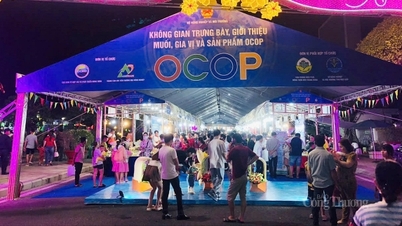 Không gian trưng bày, giới thiệu muối, gia vị, sản phẩm OCOP