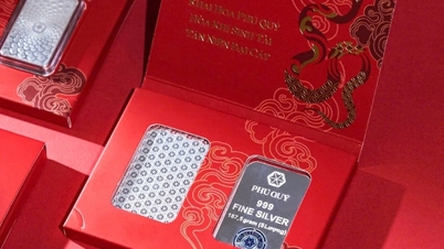 Giá bạc hôm nay 7/3/2025: Bạc nối đà tăng