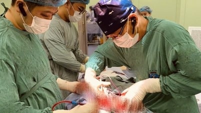 무게 3kg의 거대 유방 종양을 성공적으로 제거했습니다.