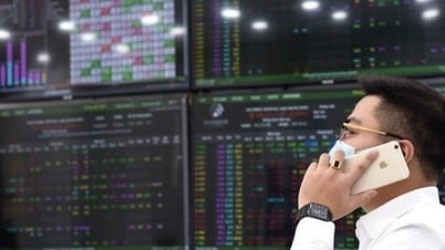 Stanley Brothers Securities will Verluste ausgleichen