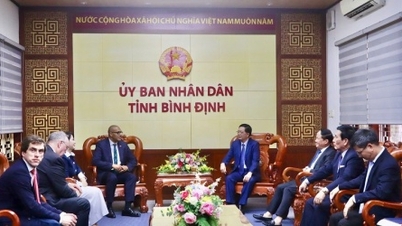 Tân CEO Tập đoàn PNE làm việc với tỉnh Bình Định về dự án điện gió ngoài khơi