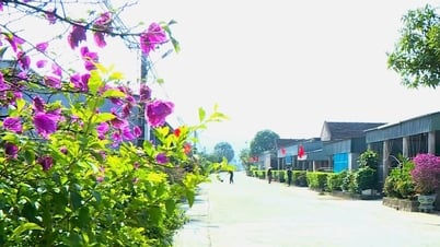 ការ​សាង​សង់​ជន​បទ​ថ្មី 'គ្មាន​ចំណុច​ឈប់'
