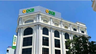 OCB Bình Dương thẩm định nhu cầu vốn chưa phù hợp hoặc chưa có đầy đủ cơ sở