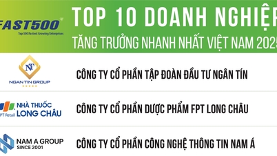 សហគ្រាសដែលរីកចម្រើនលឿនបំផុតទាំង 500 នៅវៀតណាមនៅឆ្នាំ 2025
