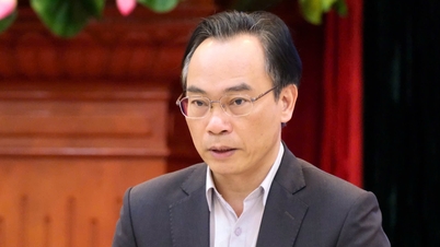 Quy hoạch mạng lưới đại học 'không phải để làm tổn thương các trường'