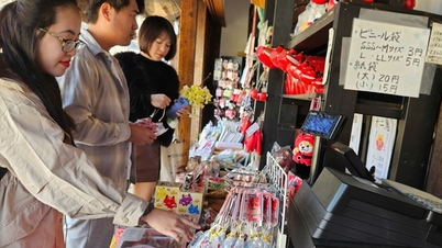 Vietnamese visitors to Japan mainly spend on shopping.