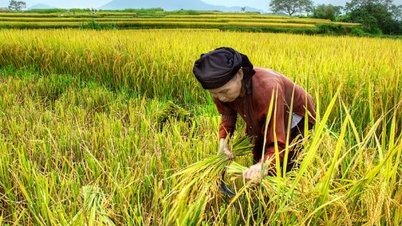 ខែមីនា នឹកម៉ាក់