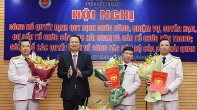 세관기구 개편에 따른 세관 직원 임명 결정 발표